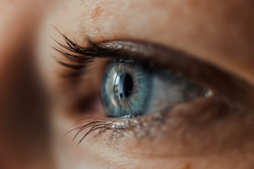 oeil