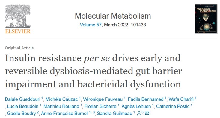 New article from the team “Insulin signaling, glucose sensing and glucotoxicity”