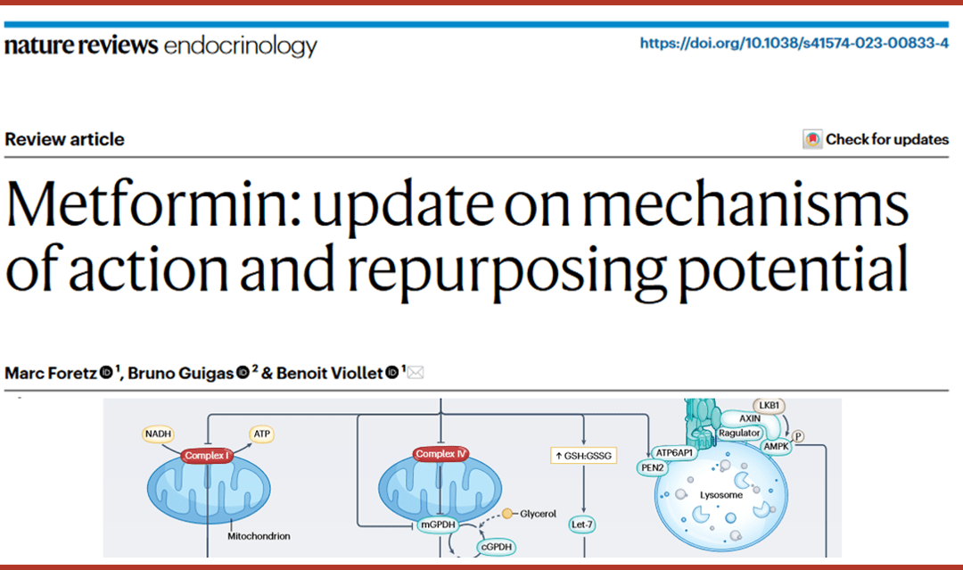 Metformin: update on mechanisms of action and repurposing potential